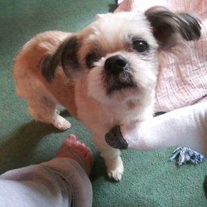 Meet your Posher, Larry